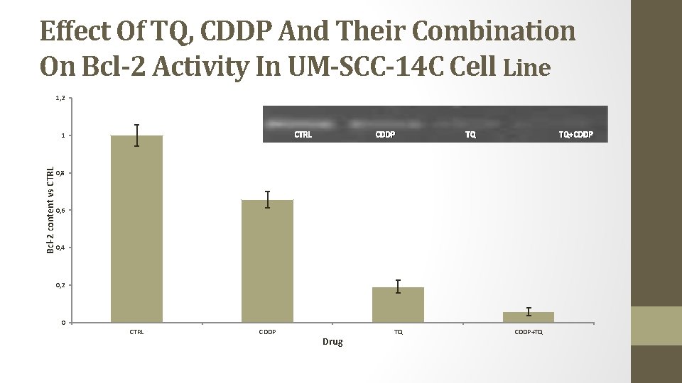 Effect Of TQ, CDDP And Their Combination On Bcl-2 Activity In UM-SCC-14 C Cell