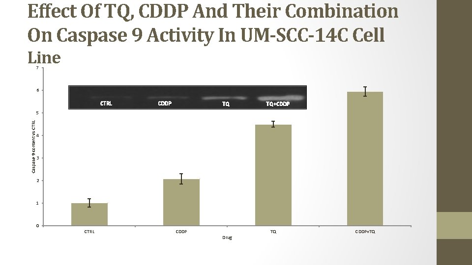 Effect Of TQ, CDDP And Their Combination On Caspase 9 Activity In UM-SCC-14 C