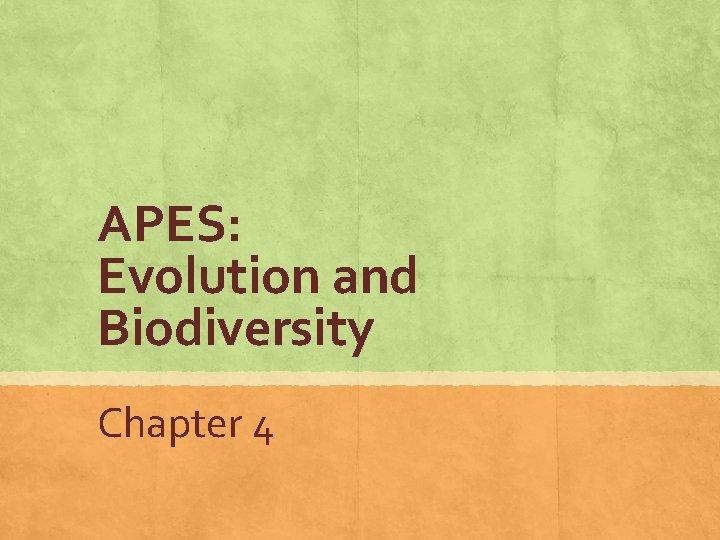 APES: Evolution and Biodiversity Chapter 4 