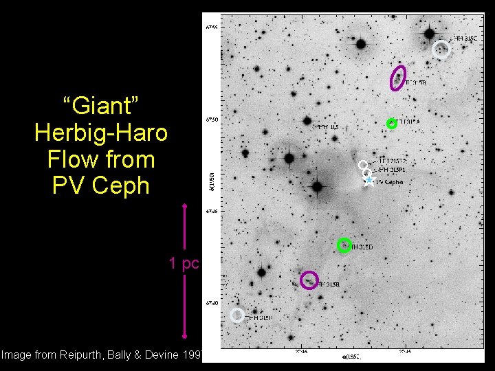 “Giant” Herbig-Haro Flow from PV Ceph 1 pc Image from Reipurth, Bally & Devine
