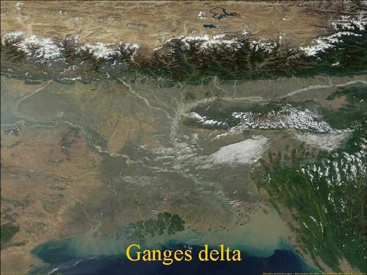 Ganges delta 