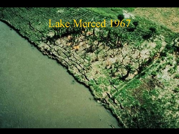 Lake Merced 1967 