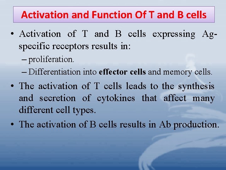 Activation and Function Of T and B cells • Activation of T and B