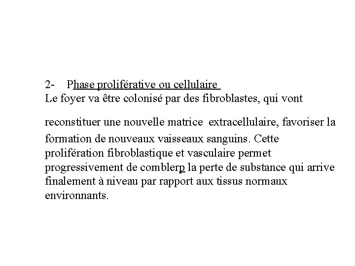 2 - Phase proliférative ou cellulaire Le foyer va être colonisé par des fibroblastes,