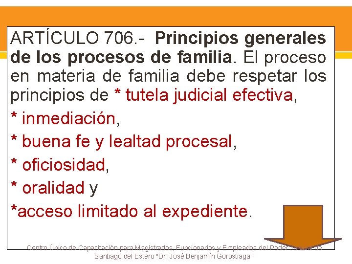 ARTÍCULO 706. - Principios generales de los procesos de familia. El proceso en materia