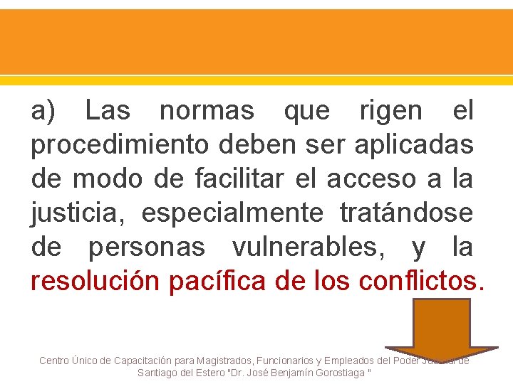 a) Las normas que rigen el procedimiento deben ser aplicadas de modo de facilitar