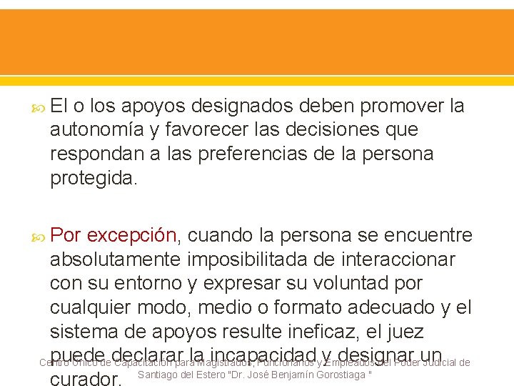  El o los apoyos designados deben promover la autonomía y favorecer las decisiones