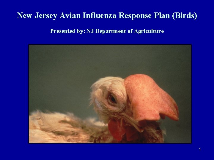 New Jersey Avian Influenza Response Plan (Birds) Presented by: NJ Department of Agriculture 1
