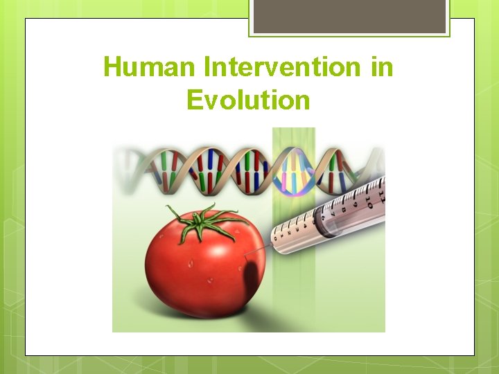 Human Intervention in Evolution 