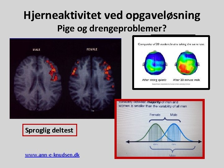 Hjerneaktivitet ved opgaveløsning Pige og drengeproblemer? Sproglig deltest www. ann-e-knudsen. dk 