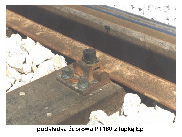 podkładka żebrowa PT 180 z łapką Łp 