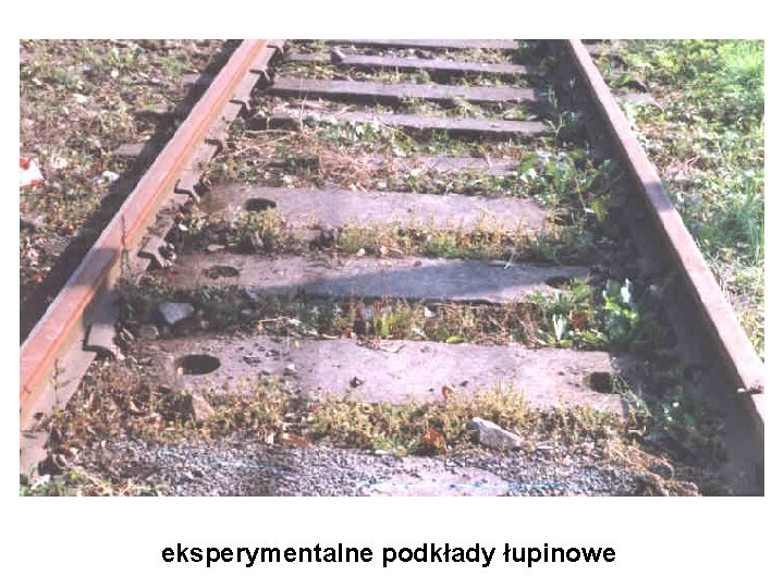 eksperymentalne podkłady łupinowe 