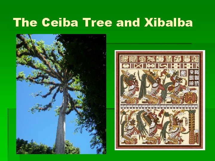 The Ceiba Tree and Xibalba 