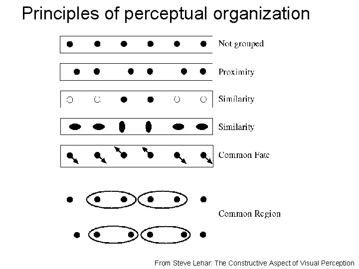 Principles of perceptual organization From Steve Lehar: The Constructive Aspect of Visual Perception 