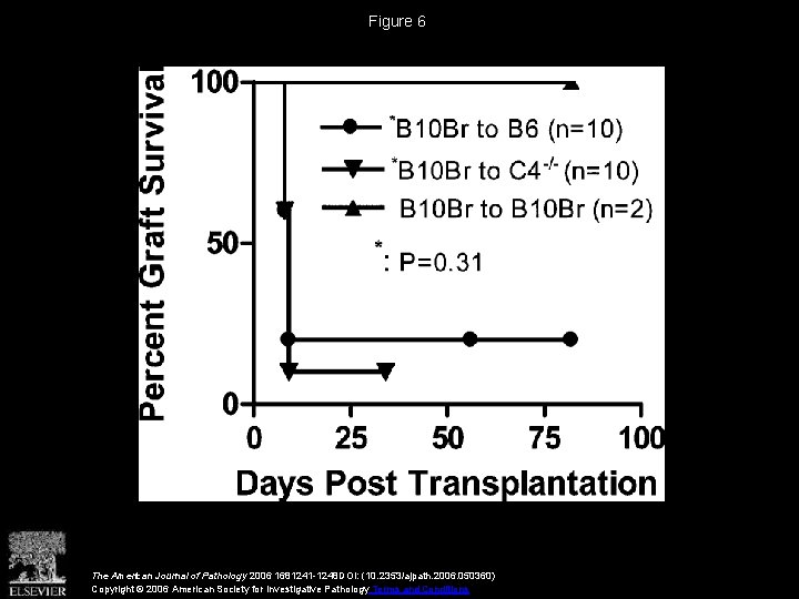 Figure 6 The American Journal of Pathology 2006 1681241 -1248 DOI: (10. 2353/ajpath. 2006.