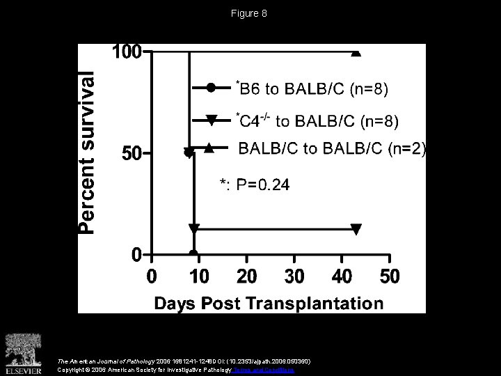 Figure 8 The American Journal of Pathology 2006 1681241 -1248 DOI: (10. 2353/ajpath. 2006.