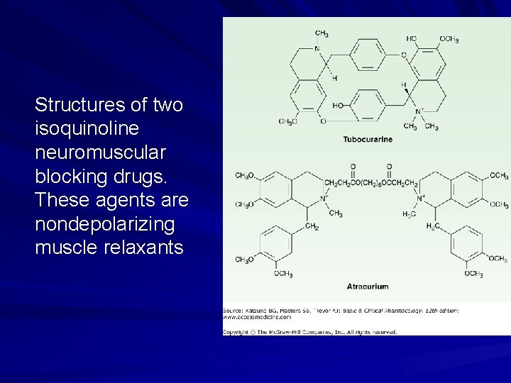 Structures of two isoquinoline neuromuscular blocking drugs. These agents are nondepolarizing muscle relaxants 