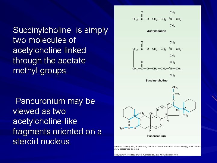 Succinylcholine, is simply two molecules of acetylcholine linked through the acetate methyl groups. Pancuronium