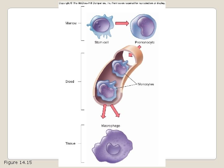 Figure 14. 15 