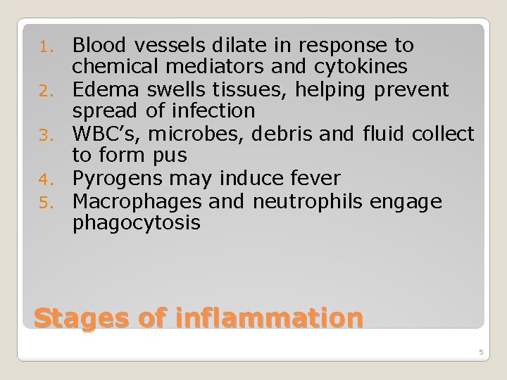 1. 2. 3. 4. 5. Blood vessels dilate in response to chemical mediators and