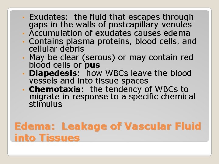  • • • Exudates: the fluid that escapes through gaps in the walls