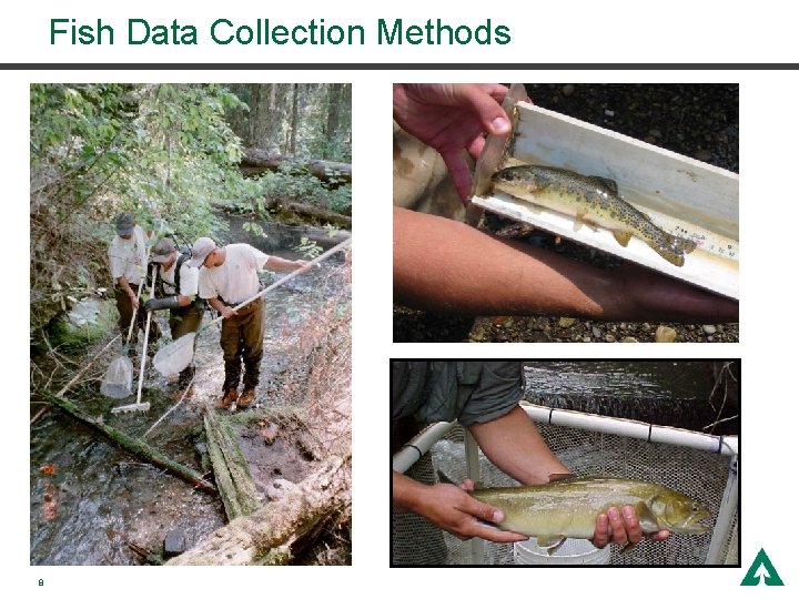 Fish Data Collection Methods 8 