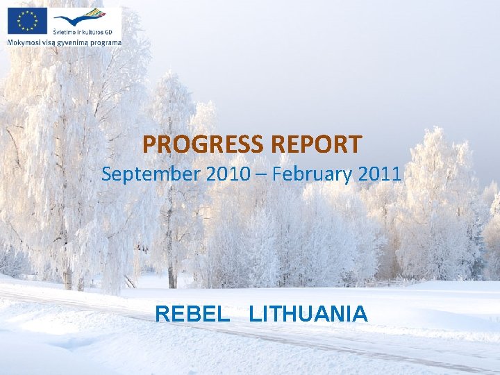 PROGRESS REPORT September 2010 – February 2011 REBEL LITHUANIA 