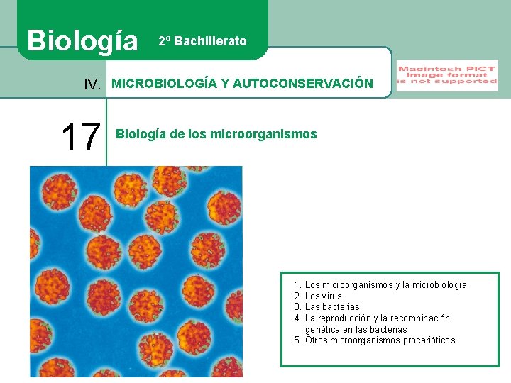 Biología 2º Bachillerato IV. MICROBIOLOGÍA Y AUTOCONSERVACIÓN 17 Biología de los microorganismos 1. Los