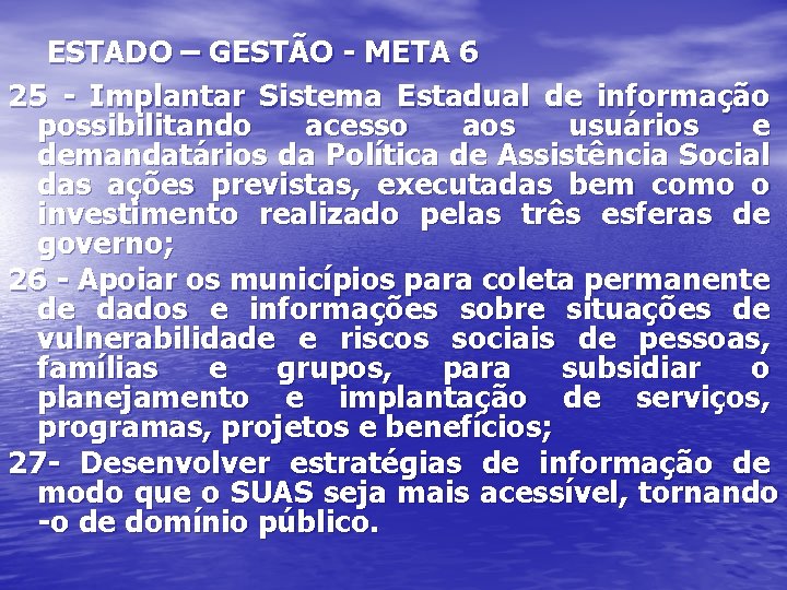 ESTADO – GESTÃO - META 6 25 - Implantar Sistema Estadual de informação possibilitando
