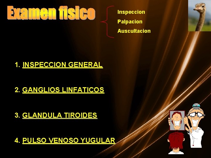 Inspeccion Palpacion Auscultacion 1. INSPECCION GENERAL 2. GANGLIOS LINFATICOS 3. GLANDULA TIROIDES 4. PULSO