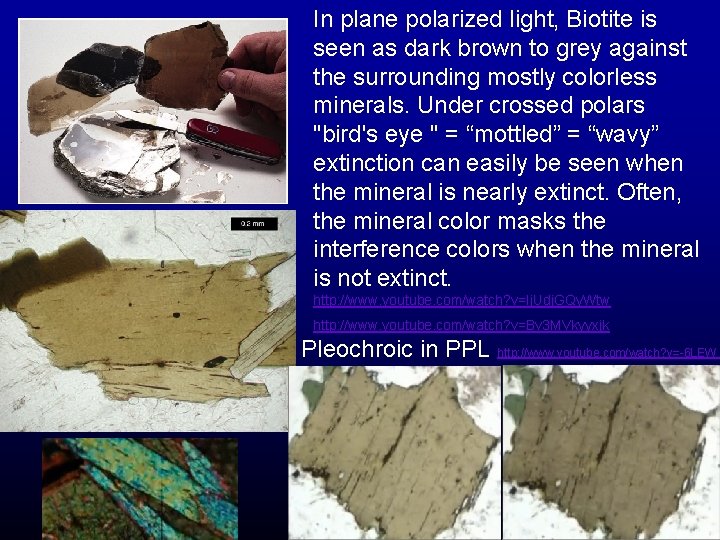 In plane polarized light, Biotite is seen as dark brown to grey against the