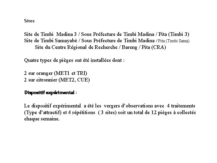 Sites Site de Timbi Madina 3 / Sous Préfecture de Timbi Madina / Pita