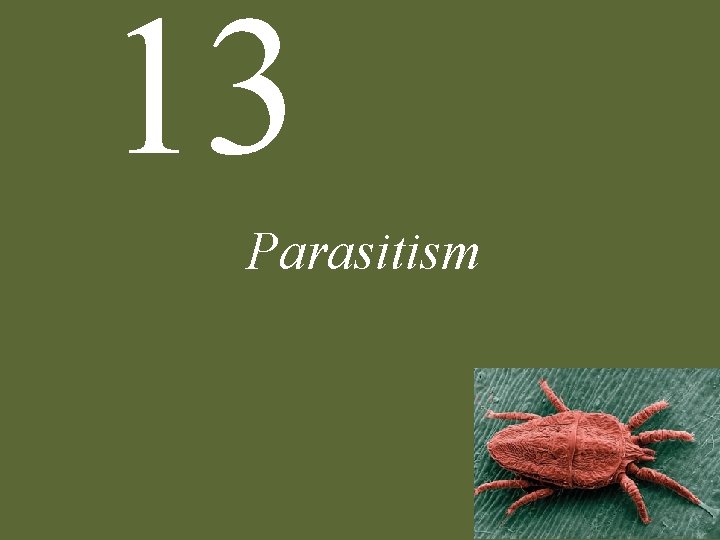 13 Parasitism 