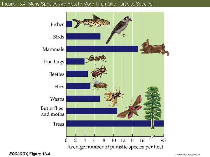 Figure 13. 4 Many Species Are Host to More Than One Parasite Species 