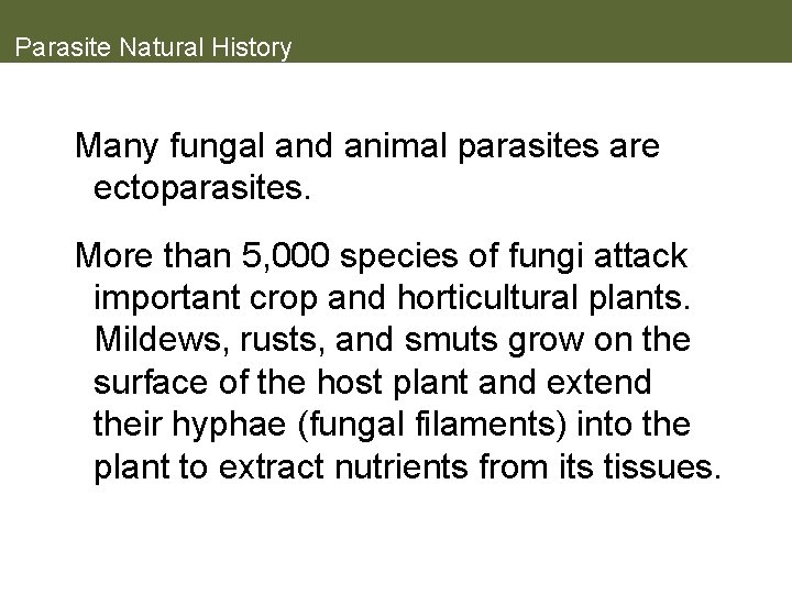 Parasite Natural History Many fungal and animal parasites are ectoparasites. More than 5, 000