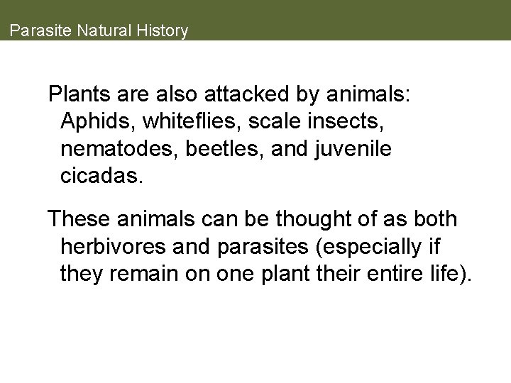 Parasite Natural History Plants are also attacked by animals: Aphids, whiteflies, scale insects, nematodes,
