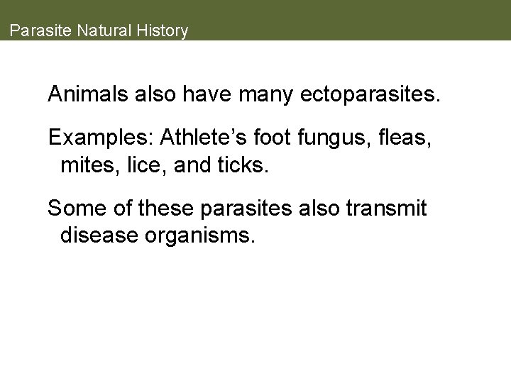 Parasite Natural History Animals also have many ectoparasites. Examples: Athlete’s foot fungus, fleas, mites,