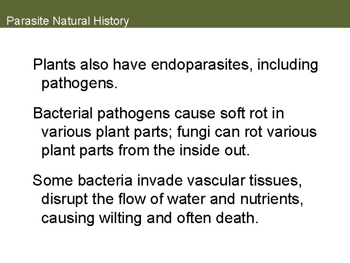 Parasite Natural History Plants also have endoparasites, including pathogens. Bacterial pathogens cause soft rot