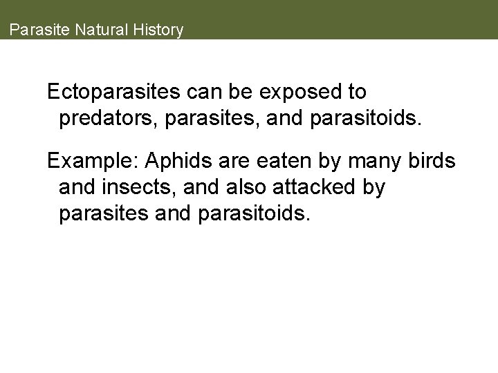 Parasite Natural History Ectoparasites can be exposed to predators, parasites, and parasitoids. Example: Aphids