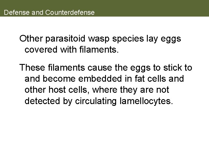 Defense and Counterdefense Other parasitoid wasp species lay eggs covered with filaments. These filaments