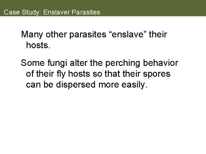 Case Study: Enslaver Parasites Many other parasites “enslave” their hosts. Some fungi alter the