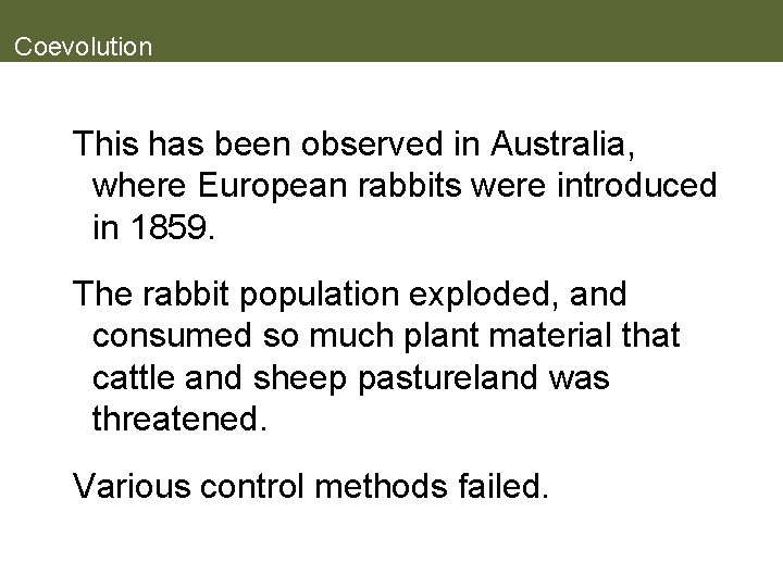 Coevolution This has been observed in Australia, where European rabbits were introduced in 1859.