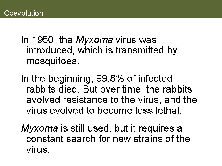 Coevolution In 1950, the Myxoma virus was introduced, which is transmitted by mosquitoes. In