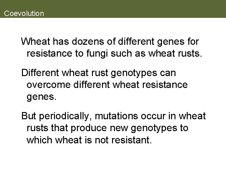 Coevolution Wheat has dozens of different genes for resistance to fungi such as wheat