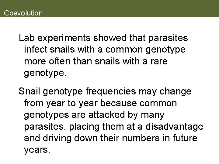 Coevolution Lab experiments showed that parasites infect snails with a common genotype more often