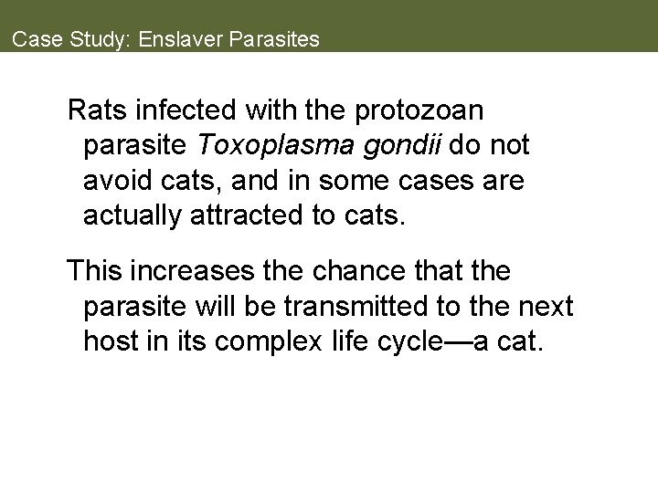 Case Study: Enslaver Parasites Rats infected with the protozoan parasite Toxoplasma gondii do not