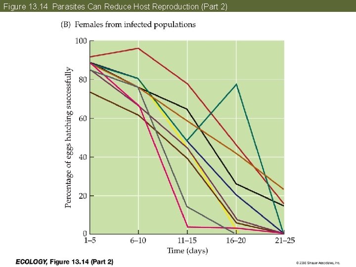 Figure 13. 14 Parasites Can Reduce Host Reproduction (Part 2) 