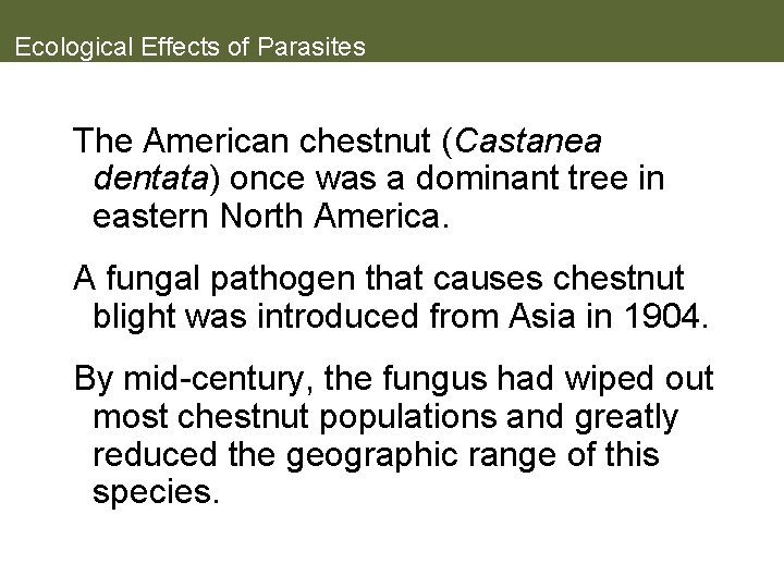 Ecological Effects of Parasites The American chestnut (Castanea dentata) once was a dominant tree