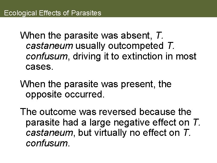 Ecological Effects of Parasites When the parasite was absent, T. castaneum usually outcompeted T.