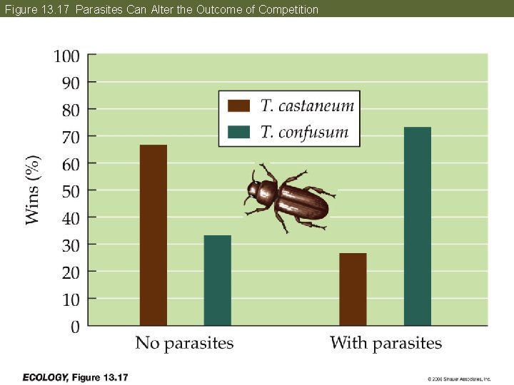 Figure 13. 17 Parasites Can Alter the Outcome of Competition 